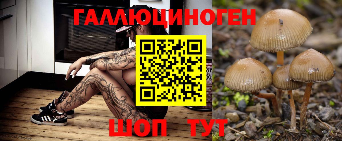 Псилоцибиновые грибы Magic Shrooms Чебаркуль